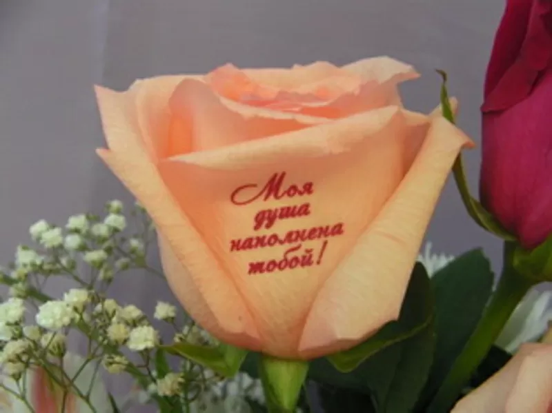 Наклейки на цветы,  говорящие цветы,  пленка для наклеек на цветы