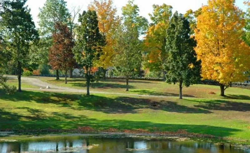 Посадка крупномеров.  Ландшафтное проектирование.  5